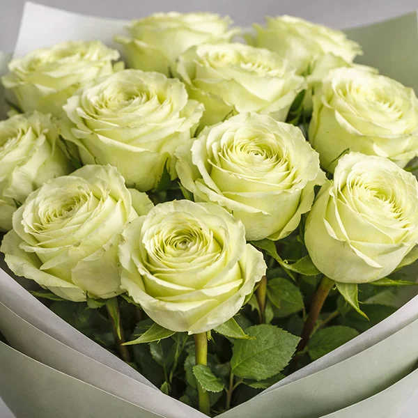 Букет зеленых роз в упаковке